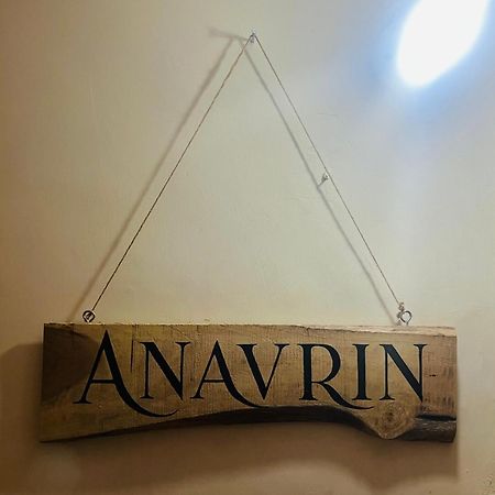 Anavrin Art House Apartment นิวเดลี ภายนอก รูปภาพ