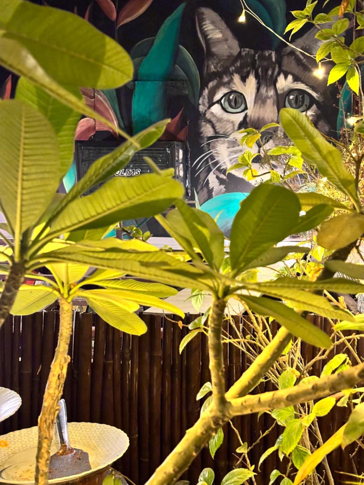 Anavrin Art House Apartment นิวเดลี ภายนอก รูปภาพ