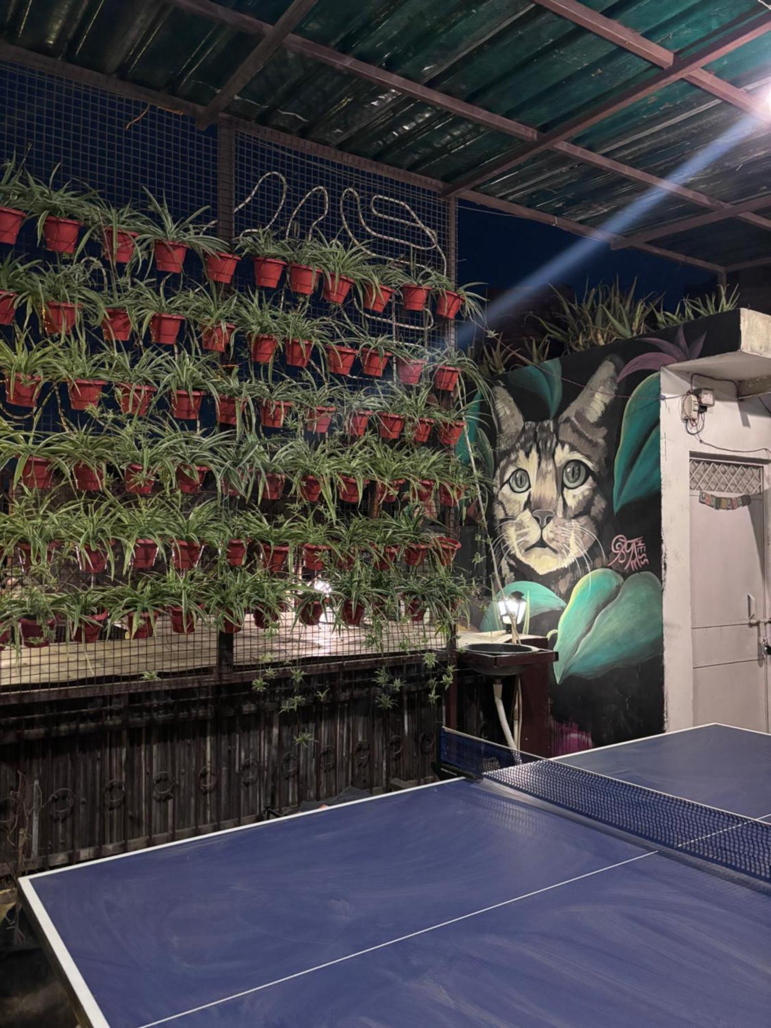 Anavrin Art House Apartment นิวเดลี ภายนอก รูปภาพ