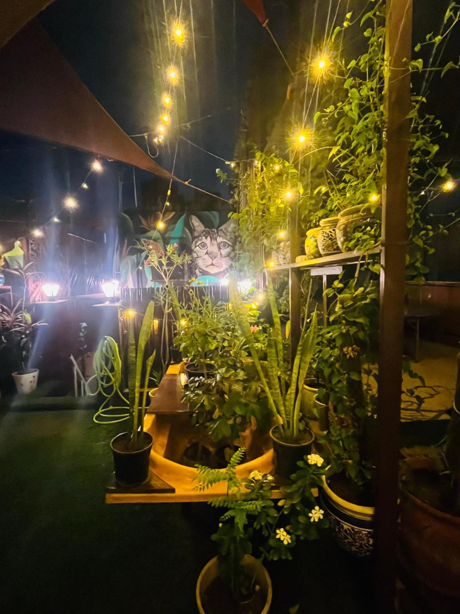 Anavrin Art House Apartment นิวเดลี ภายนอก รูปภาพ