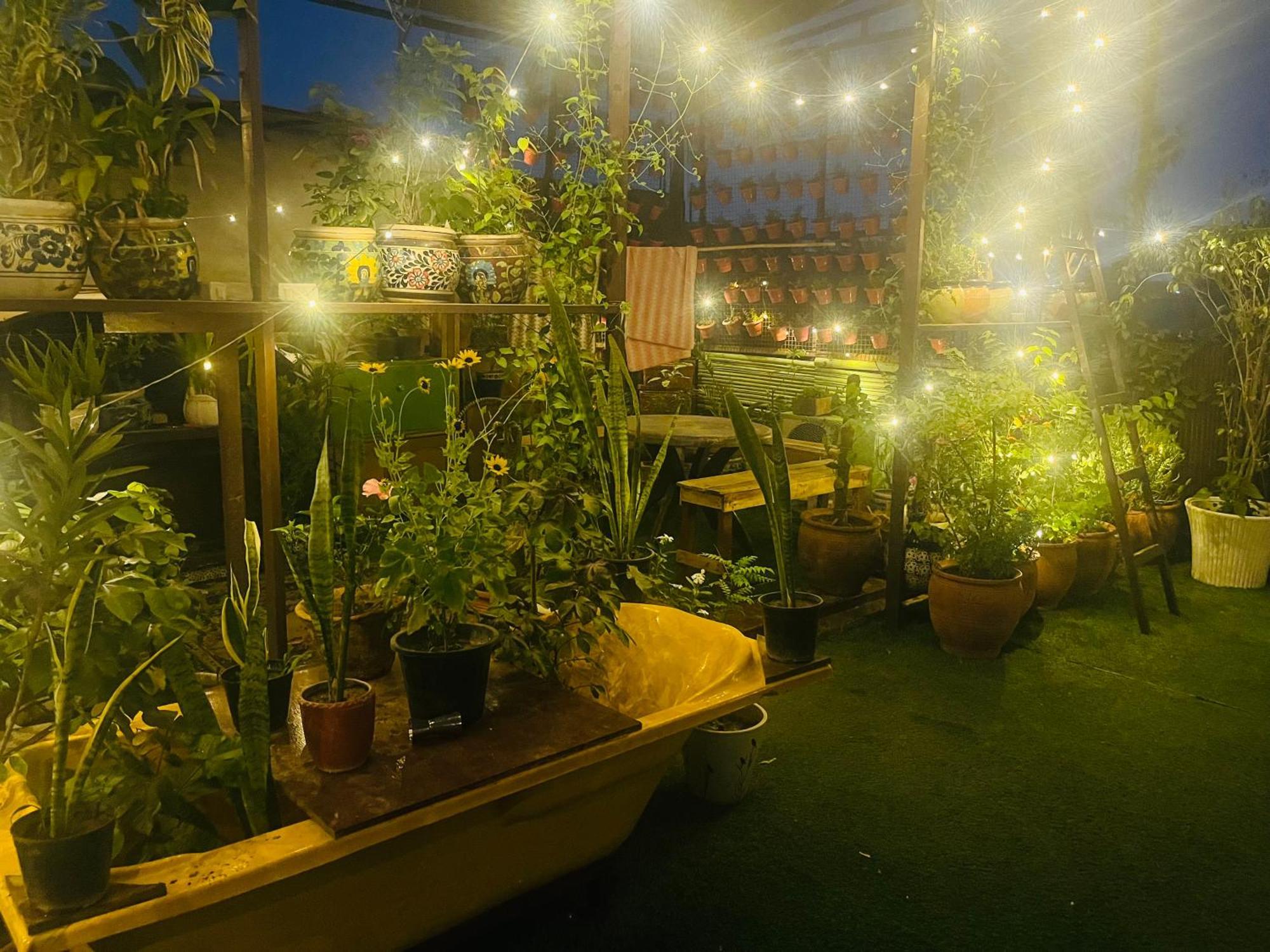 Anavrin Art House Apartment นิวเดลี ภายนอก รูปภาพ